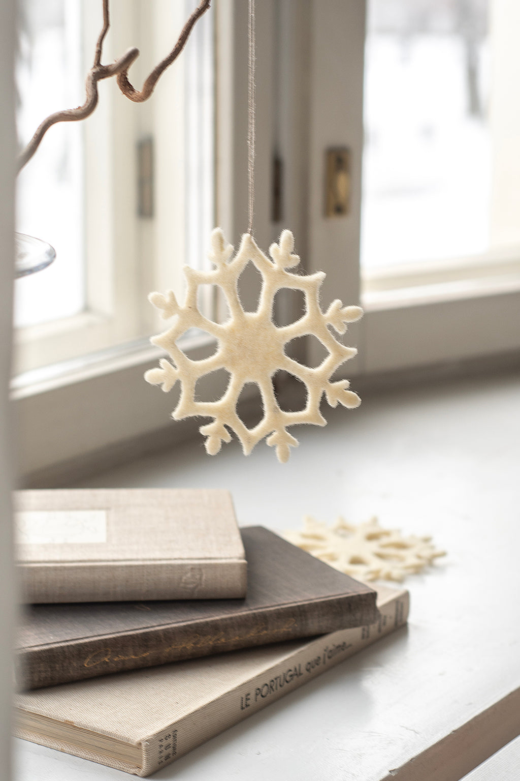 Villainen lumihiutale